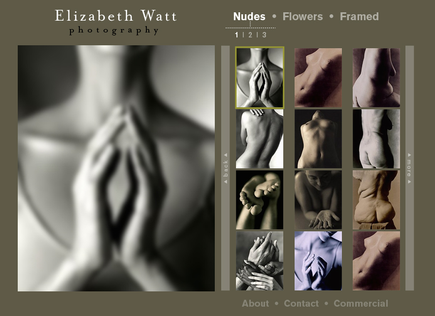 Elizabeth Watt Website Design - Art Section