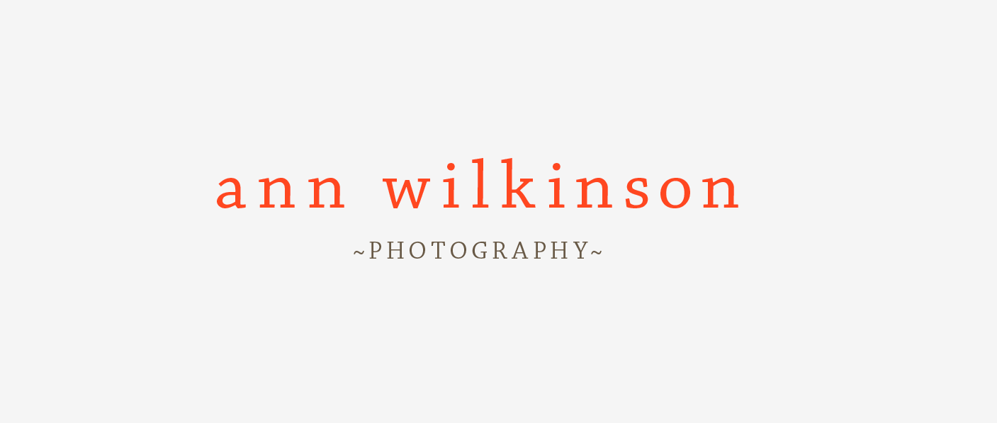 Ann Wilkinson Photography Logo by mimoYmima
