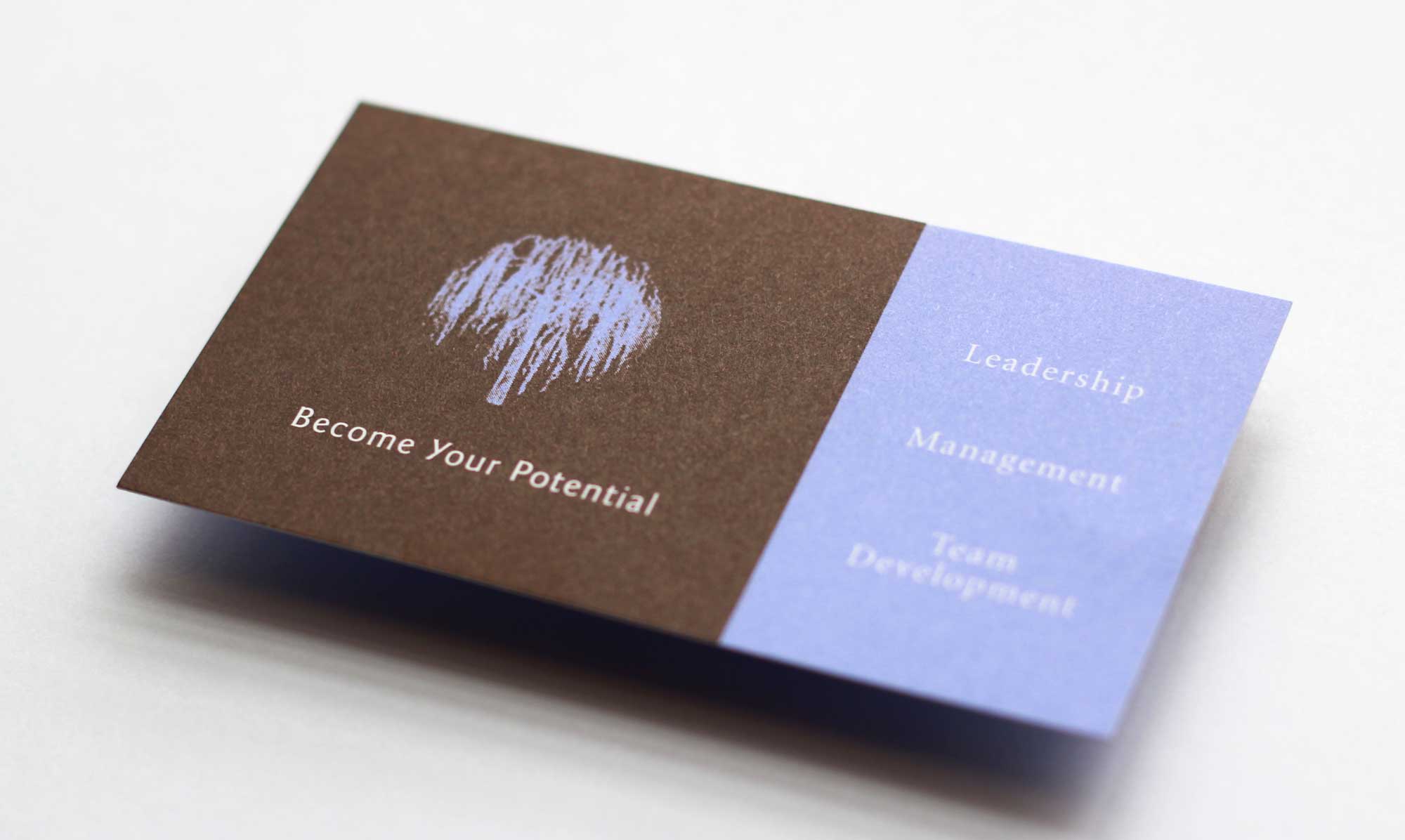 Weidenbaum Development business card design